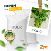 BULK 1kg – kangkung super lebar OP (KKSL) - PT. Indoseed Agri Makmur