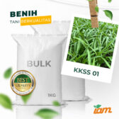 BULK 1kg – kangkung super sempit OP (KKSS) - PT. Indoseed Agri Makmur