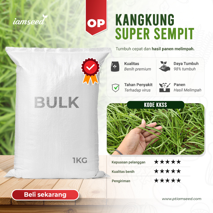 BULK 1kg – kangkung super sempit OP (KKSS) - PT. Indoseed Agri Makmur