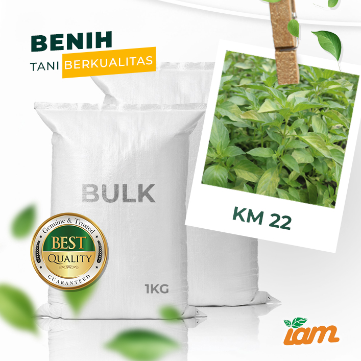 BULK 1kg – kemangi OP (KM 22) - PT. Indoseed Agri Makmur