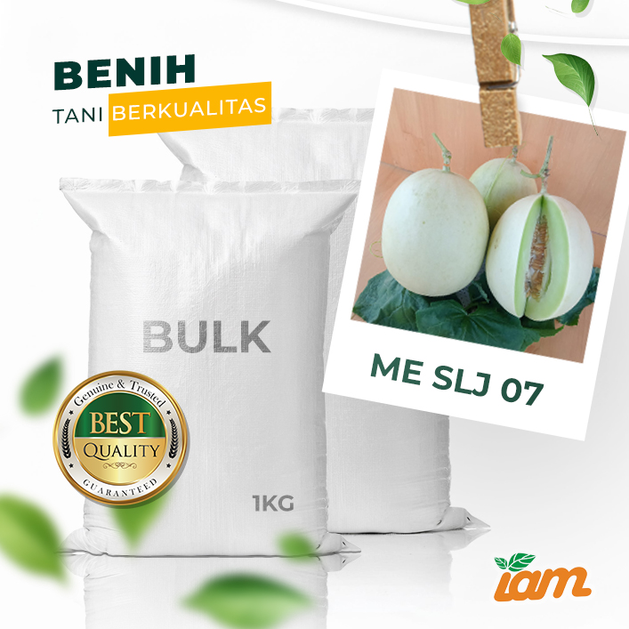 BULK 1kg – melon salju F1 (ME SLJ 07) - PT. Indoseed Agri Makmur