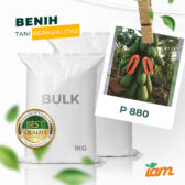 BULK 1kg – pepaya california F1 (P 880) - PT. Indoseed Agri Makmur