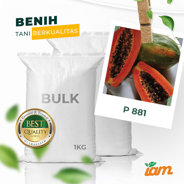 BULK 1kg – pepaya thailand F1 (P 881) - PT. Indoseed Agri Makmur