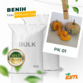 BULK 1kg – labu hijau F1 (PK 01) - PT. Indoseed Agri Makmur
