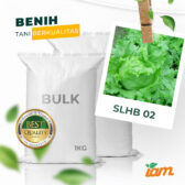 BULK 1kg – selada bulat F1 (SLHB 02) - PT. Indoseed Agri Makmur