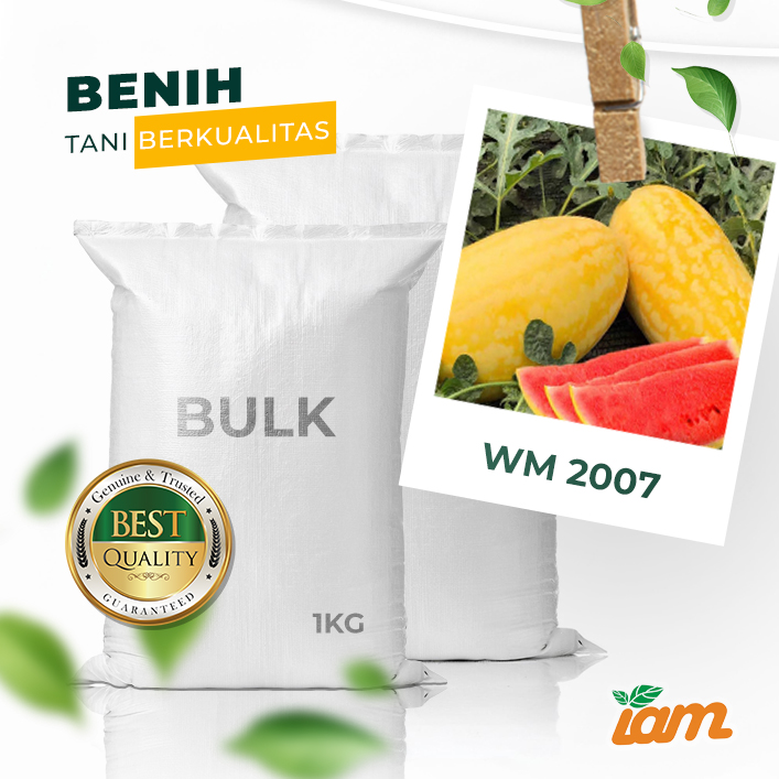 BULK 1kg – semangka F1 (WM 2007) - PT. Indoseed Agri Makmur