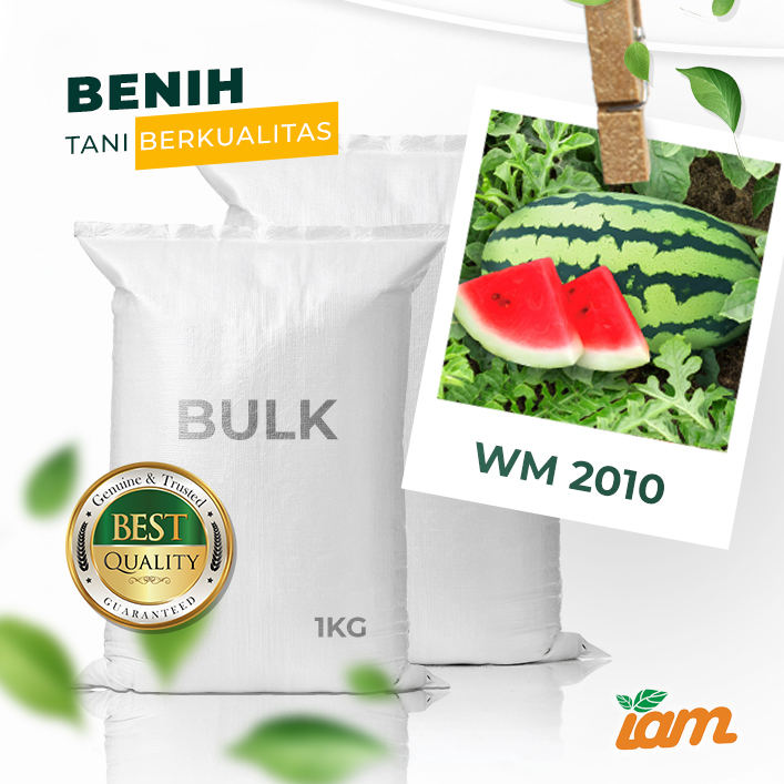 BULK 1kg – semangka F1 (WM 2010) - PT. Indoseed Agri Makmur