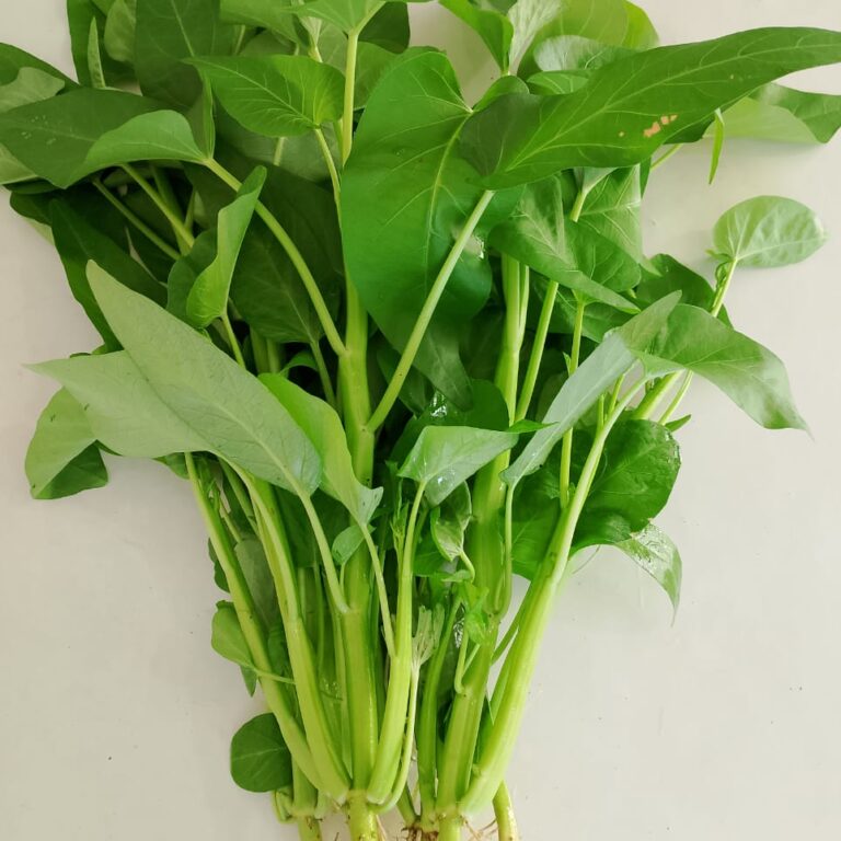 BULK 1kg – kangkung super lebar OP (KKSL) - PT. Indoseed Agri Makmur