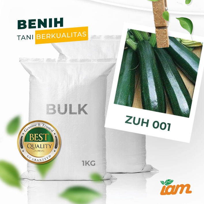 BULK 1kg – zucchini hijau F1 (ZUH 001) - PT. Indoseed Agri Makmur