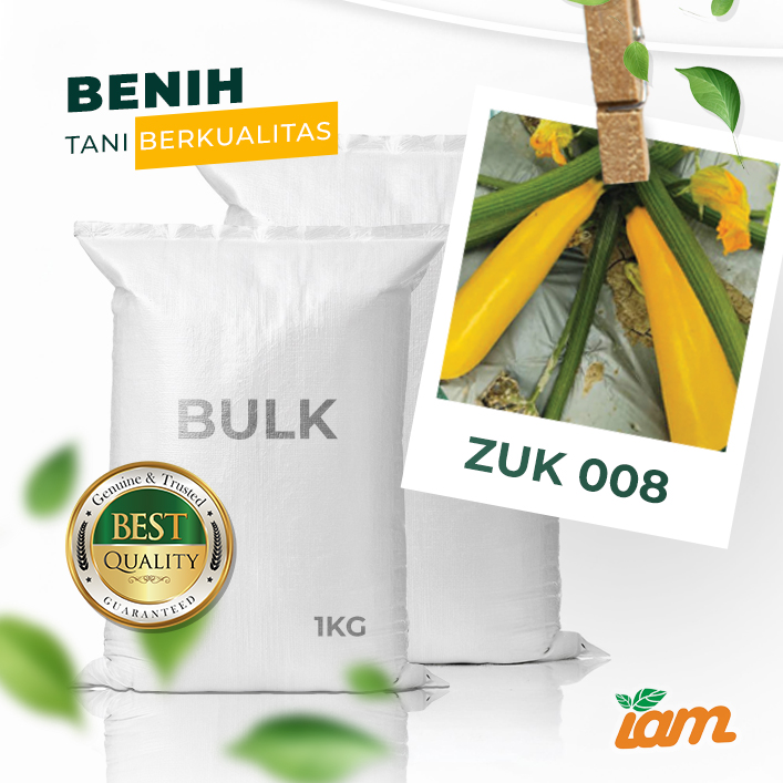 BULK 1kg – zucchini kuning F1 (ZUK 008) - PT. Indoseed Agri Makmur
