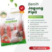 Bimbim F1 1kg | Jagung pipil - PT. Indoseed Agri Makmur