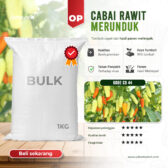 BULK 1kg – cabai OP (CB 44) - PT. Indoseed Agri Makmur