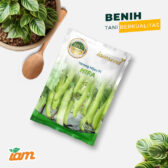 Hifa F1 10gr | Terong hijau - PT. Indoseed Agri Makmur