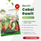 Saori 13 10gr | Cabai rawit frutescenes - PT. Indoseed Agri Makmur