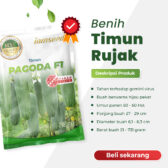 Pagoda F1 20gr | Timun - PT. Indoseed Agri Makmur