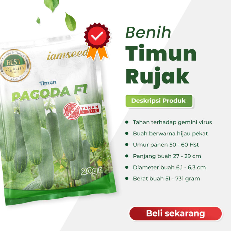 Pagoda F1 20gr | Timun - PT. Indoseed Agri Makmur