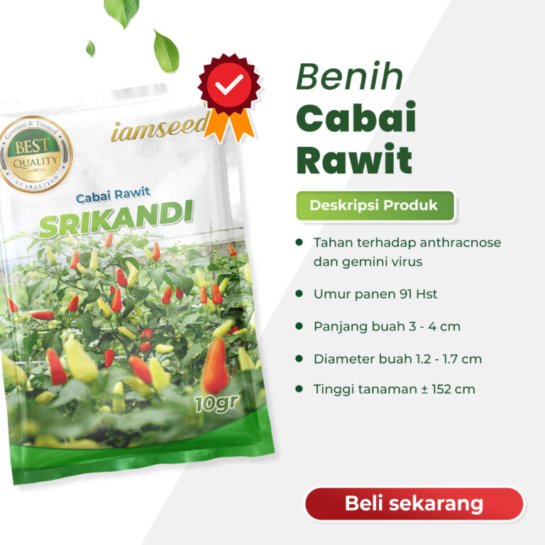 Srikandi 10gr | Cabai rawit frutescenes - PT. Indoseed Agri Makmur