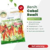Cakar elang 10gr | Cabai rawit frutescenes - PT. Indoseed Agri Makmur