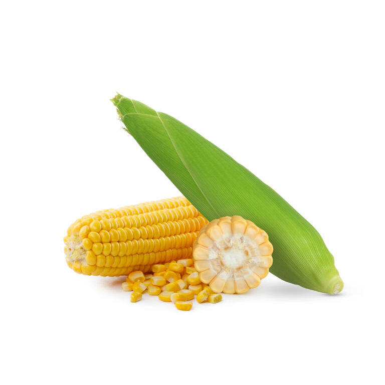 Pegon F1 250gr | Jagung manis - PT. Indoseed Agri Makmur