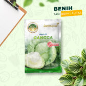 Gangga 13gr | Kubis - PT. Indoseed Agri Makmur