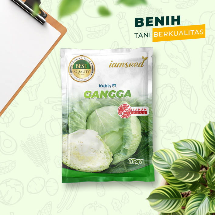 Gangga 13gr | Kubis - PT. Indoseed Agri Makmur