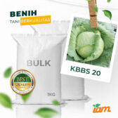 BULK 1kg – KUBIS F1 (KBBS 20) - PT. Indoseed Agri Makmur