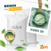 BULK 1kg – KUBIS F1 (KBBS 29) - PT. Indoseed Agri Makmur