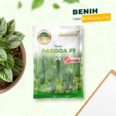 Pagoda F1 20gr | Timun - PT. Indoseed Agri Makmur
