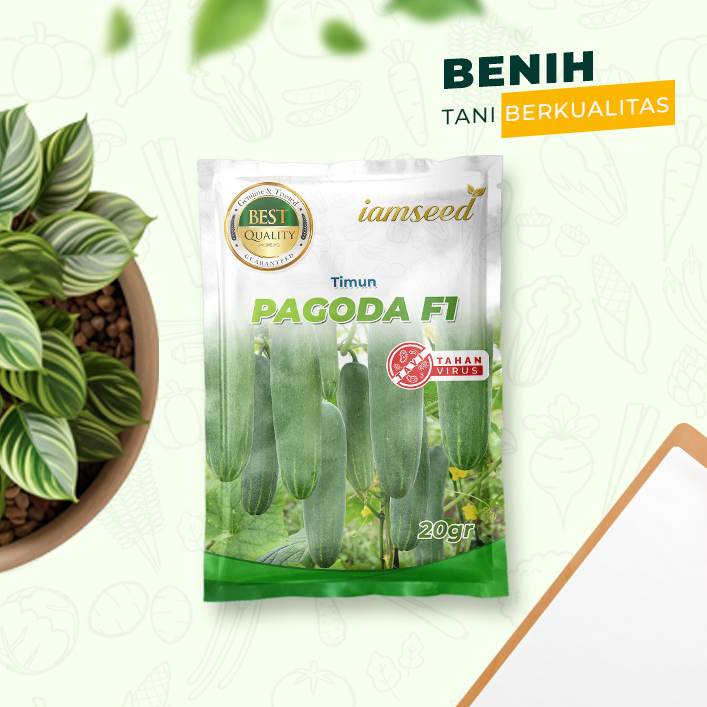 Pagoda F1 20gr | Timun - PT. Indoseed Agri Makmur