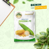 Pegon F1 250gr | Jagung manis - PT. Indoseed Agri Makmur