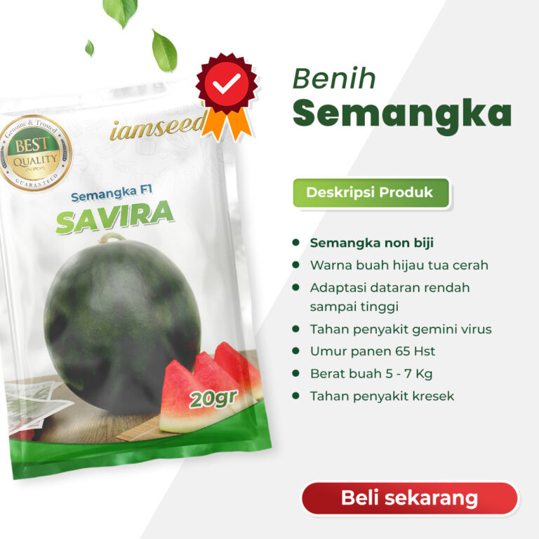 Savira 20gr | Semangka bulat non biji - PT. Indoseed Agri Makmur