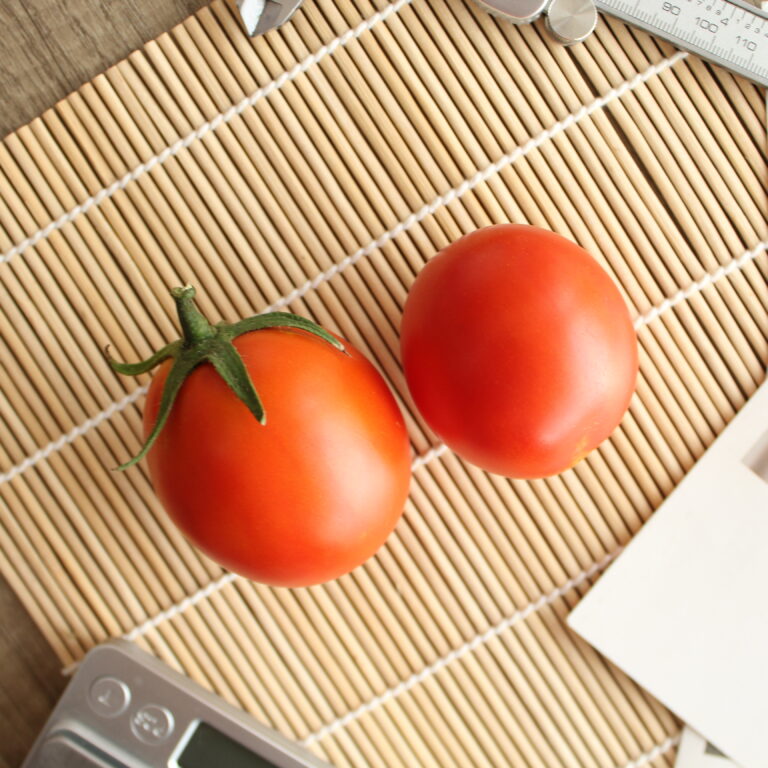 Mehmed F1 5gr | Tomat - PT. Indoseed Agri Makmur