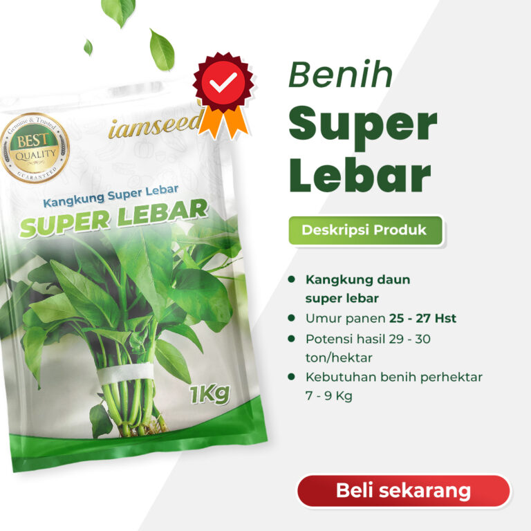 Superlebar 1Kg | Kangkung daun super lebar - PT. Indoseed Agri Makmur