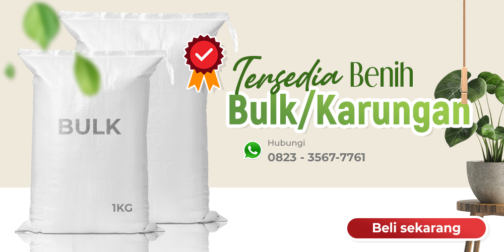 Promo PT. Indoseed Agri Makmur