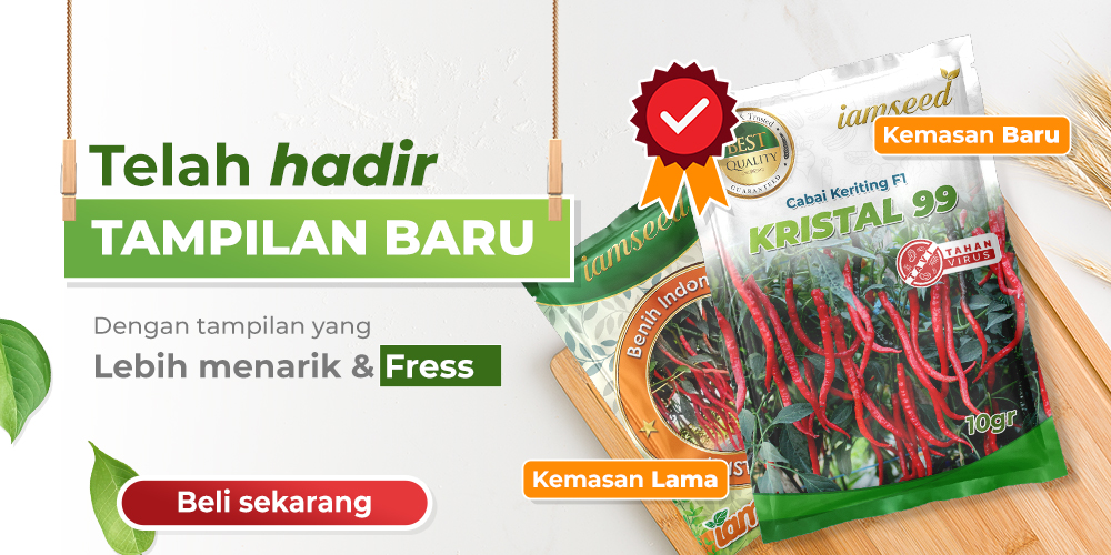 Promo PT. Indoseed Agri Makmur