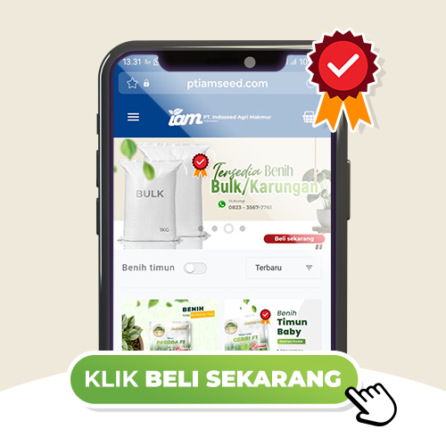 Promo PT. Indoseed Agri Makmur