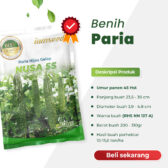 Nusa 55 F1 10gr | Paria - PT. Indoseed Agri Makmur
