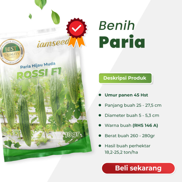 Rossi F1 10gr | Paria - PT. Indoseed Agri Makmur
