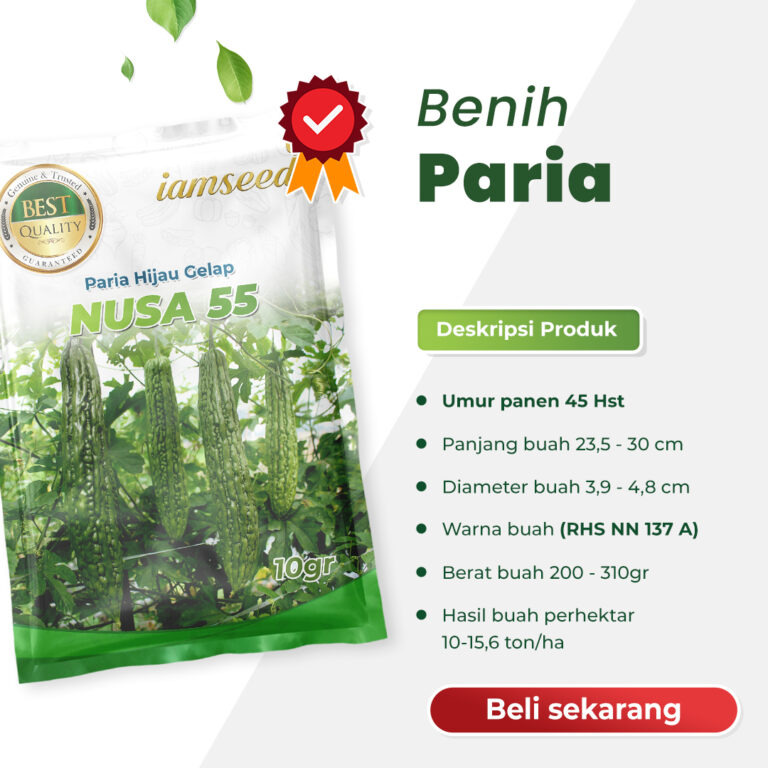 Nusa 55 F1 10gr | Paria - PT. Indoseed Agri Makmur