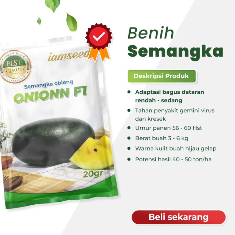 Onionn F1 20gr | Semangka oblong - PT. Indoseed Agri Makmur