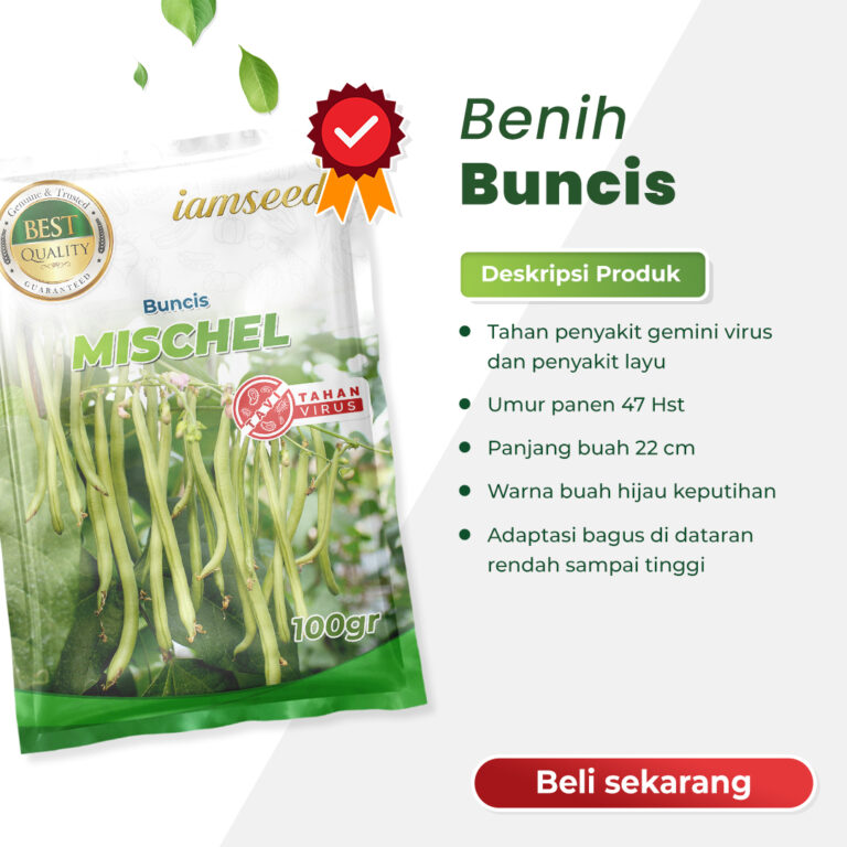 Mischel 100gr | Buncis - PT. Indoseed Agri Makmur