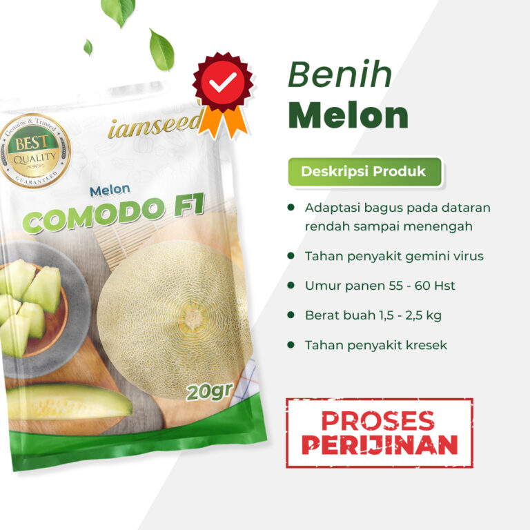 Comodo F1 20gr | Melon daging dalam putih - PT. Indoseed Agri Makmur
