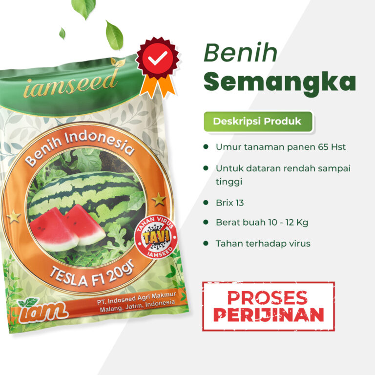 Tesla 20gr | Oblong berbiji - PT. Indoseed Agri Makmur
