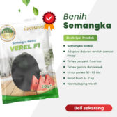 Verel F1 20gr | Semangka berbiji - PT. Indoseed Agri Makmur