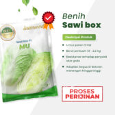 MU F1 10gr | Sawi box - PT. Indoseed Agri Makmur