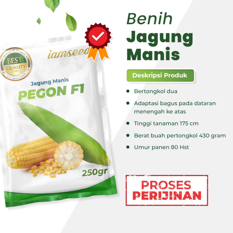 Pegon F1 250gr | Jagung manis - PT. Indoseed Agri Makmur