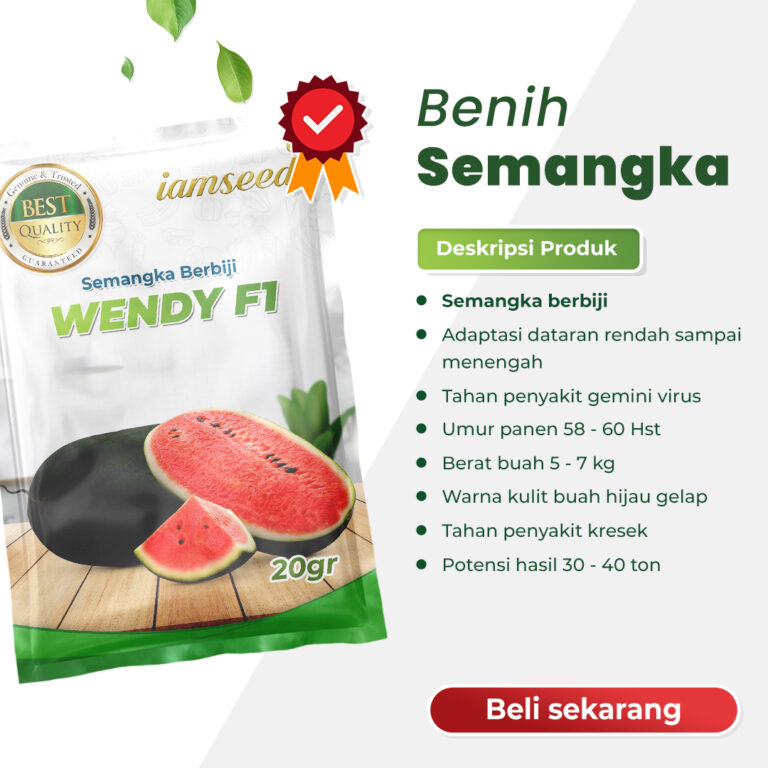 Wendy F1 20gr | Semangka berbiji - PT. Indoseed Agri Makmur
