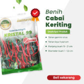Kristal 99 F1 10gr | Cabai keriting - PT. Indoseed Agri Makmur
