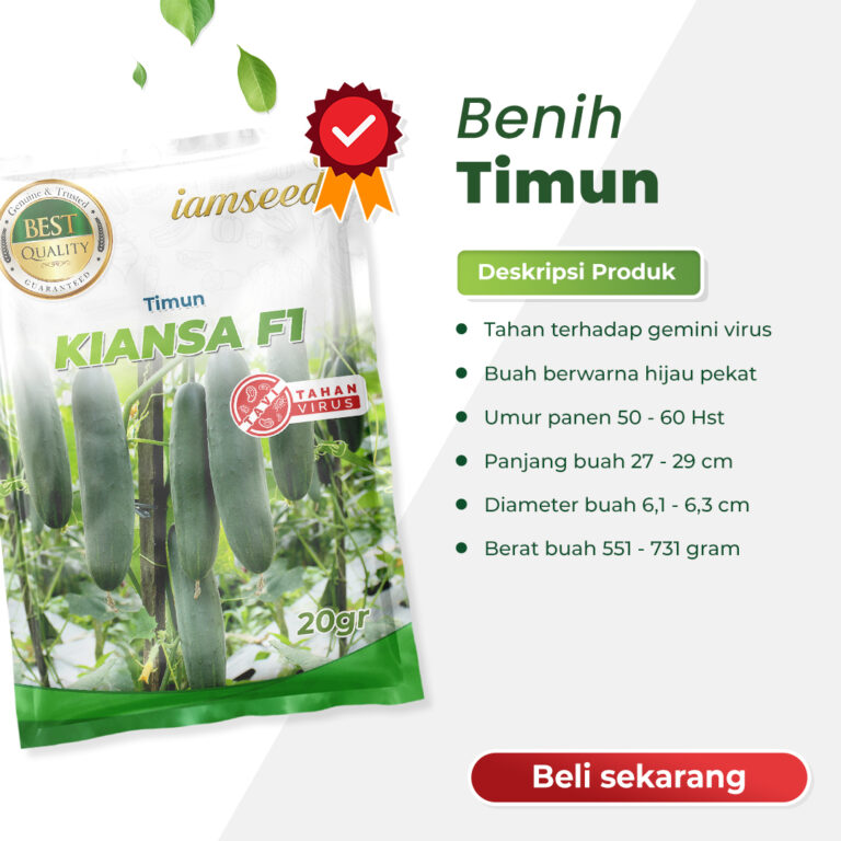 Kiansa F1 20gr | Timun - PT. Indoseed Agri Makmur