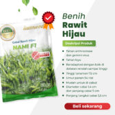 Nami F1 10gr | Cabai rawit hijau - PT. Indoseed Agri Makmur